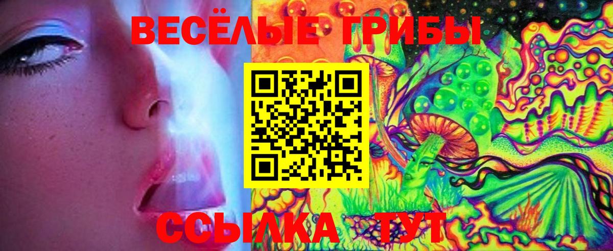 Галлюциногенные грибы Psilocybe Казань
