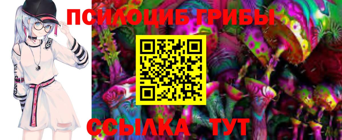 Казань  Псилоцибиновые грибы Psilocybine cubensis  Псилоцибиновые грибы Psilocybine cubensis  Вход с VPN 